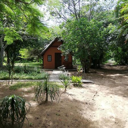 הוילה שלושלואי We Bushcamp & Horse Safaris מראה חיצוני תמונה