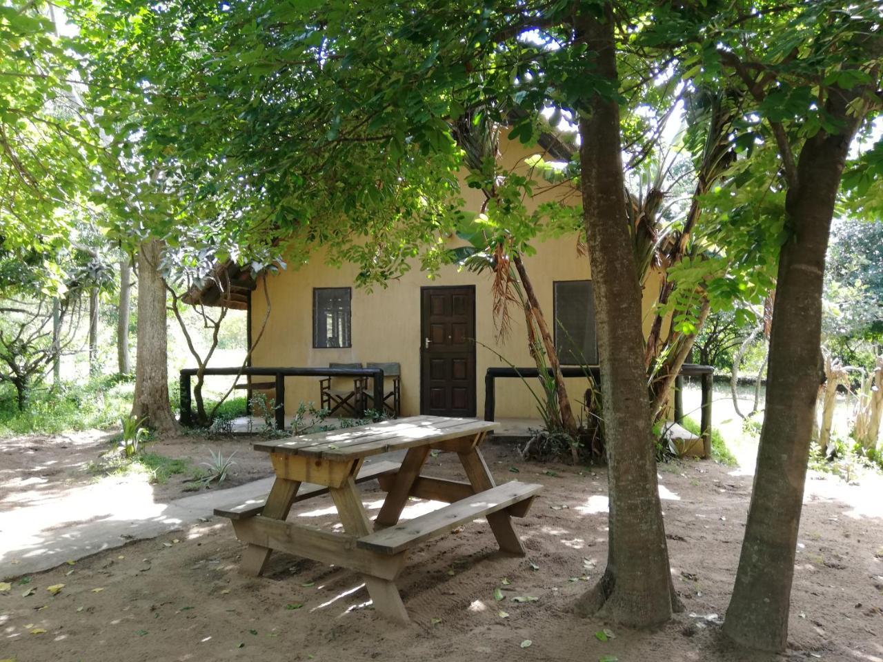 הוילה שלושלואי We Bushcamp & Horse Safaris מראה חיצוני תמונה