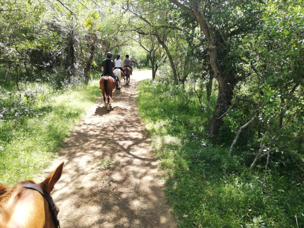 הוילה שלושלואי We Bushcamp & Horse Safaris מראה חיצוני תמונה