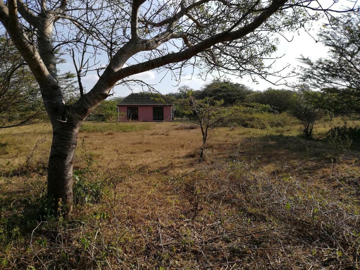 הוילה שלושלואי We Bushcamp & Horse Safaris מראה חיצוני תמונה